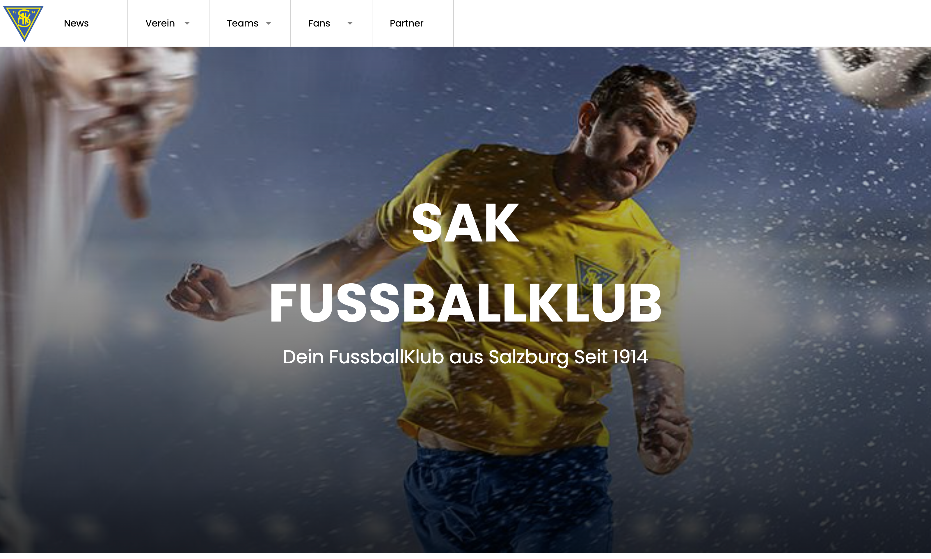 SAK 1914 - Webdesign Projekt